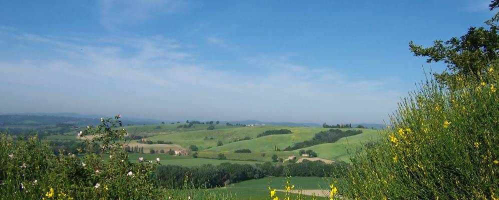 Фотография Кристены