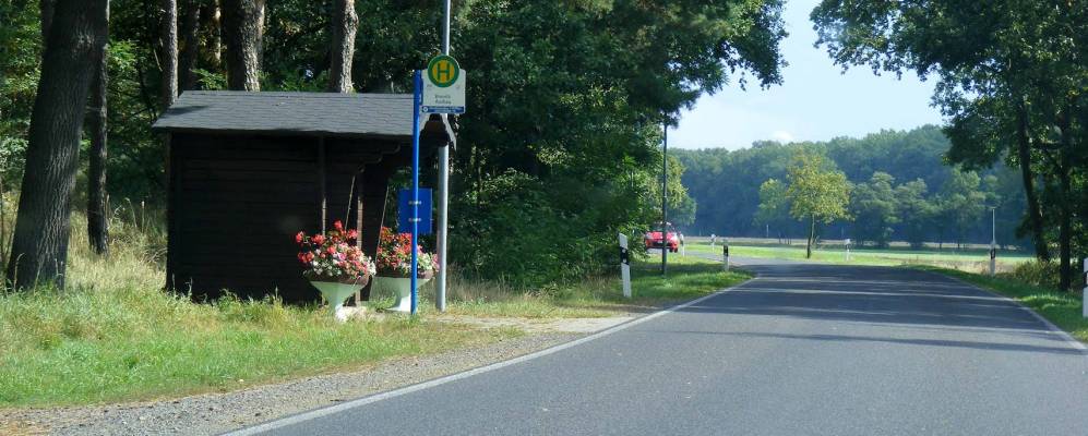 
            Фотография Шоневальне