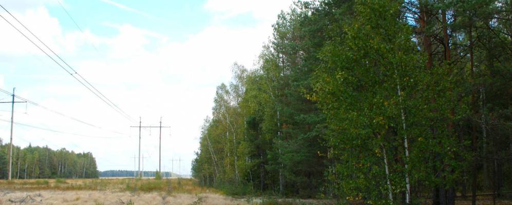 
            Фотография Старинки