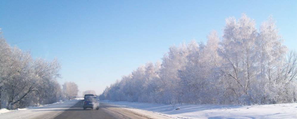 
            Фотография Басурманов