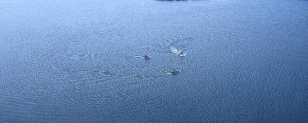 
            Фотография Берегового