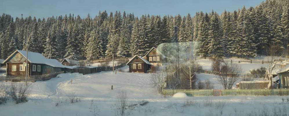 
            Фотография Спиряты