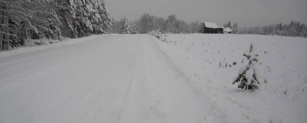 
            Фотография Дора