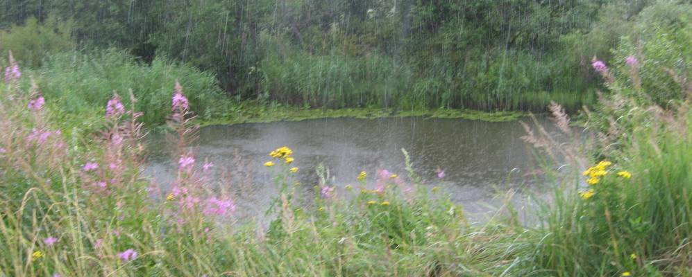 Фотография Каташево