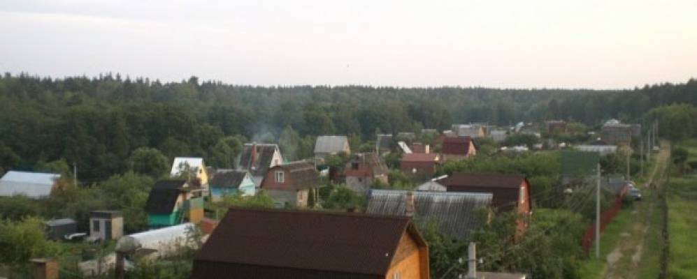 Фотография Рождественки