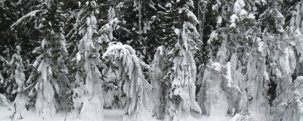 Фотография Верхней Ирети