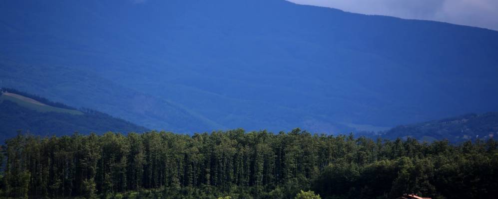 
            Фотография Серрамаццони