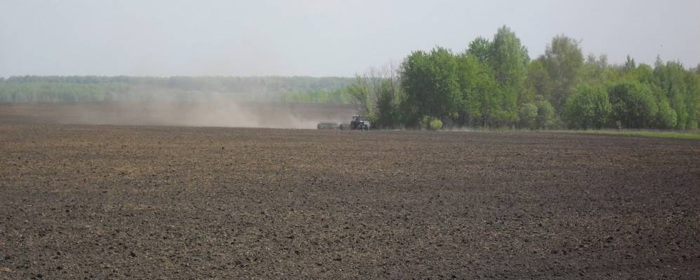 
            Фотография Тихого