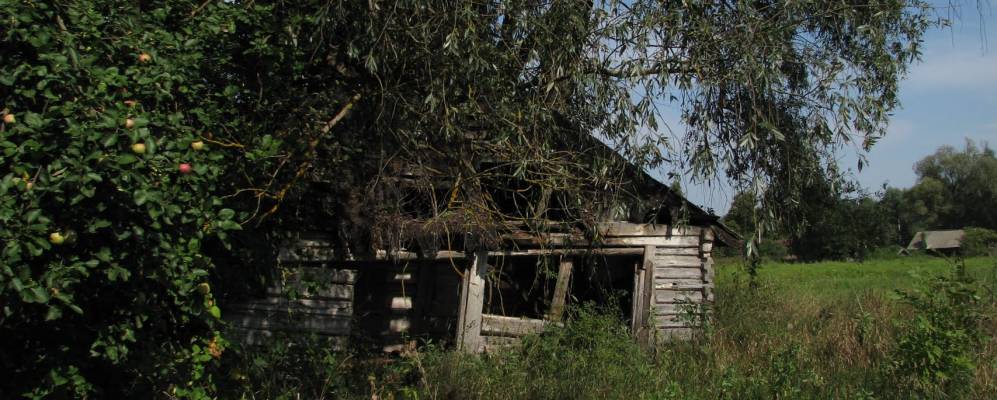 
            Фотография Лебедина