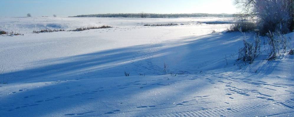 
            Фотография Подвислово