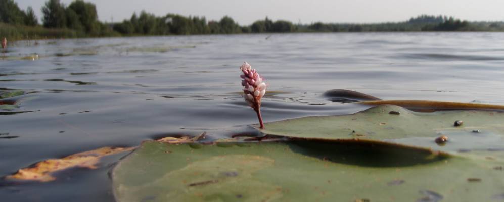 Фотография Соколовки