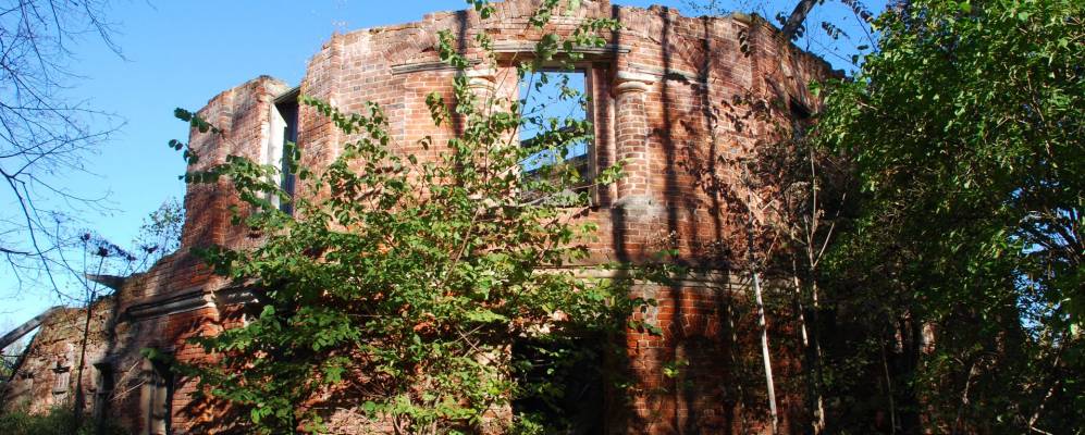 
            Фотография Петряево