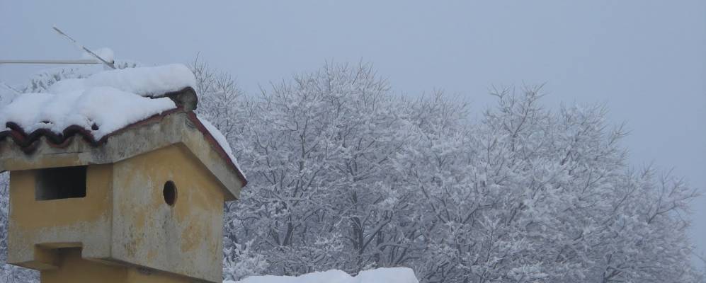 
            Фотография Оспиталетто