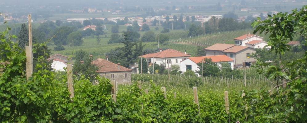 
            Фотография Во Еуганео