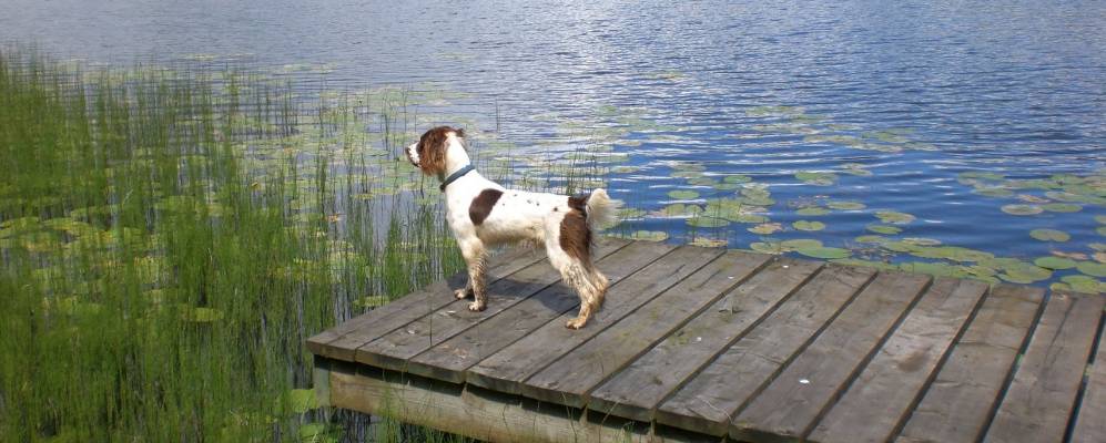 
            Фотография Арди