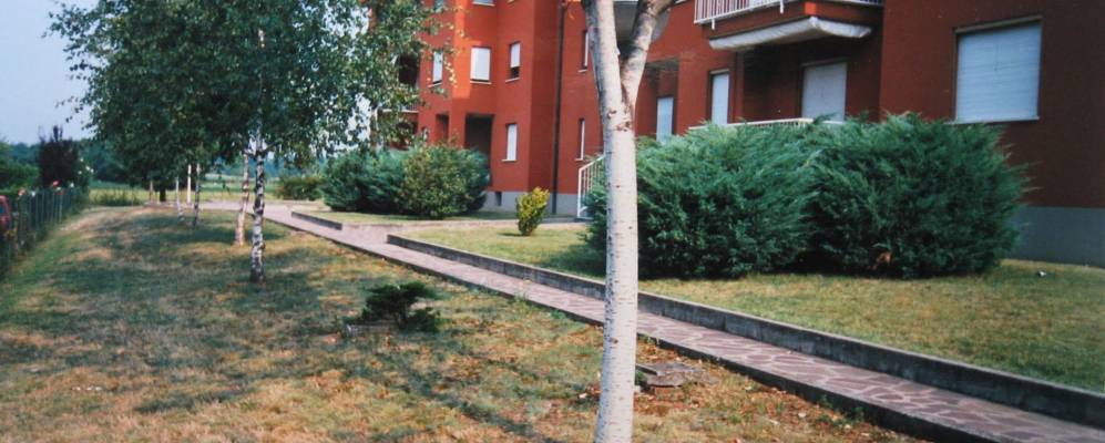 
            Фотография Мазате