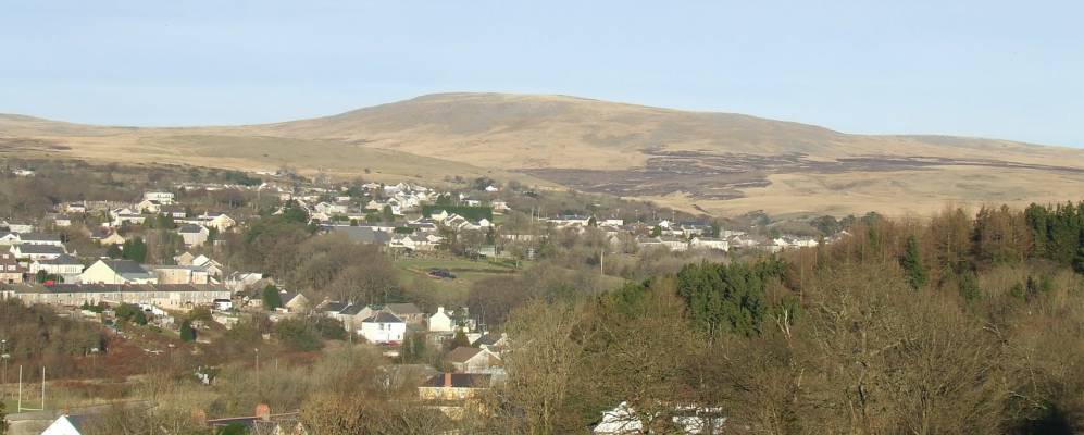 
            Фотография Брайнаммана