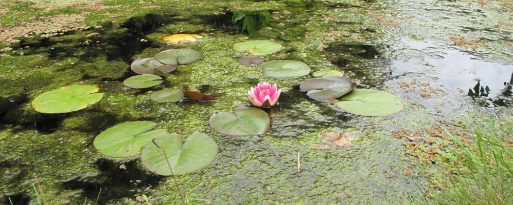 
            Фотография Лоусаме