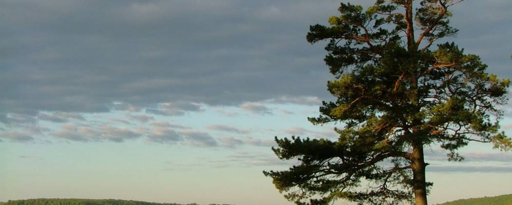 Фотография Огарково