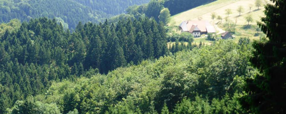 
            Фотография Фишербаха