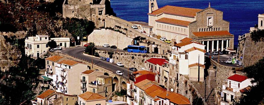 
            Фотография Шиллы