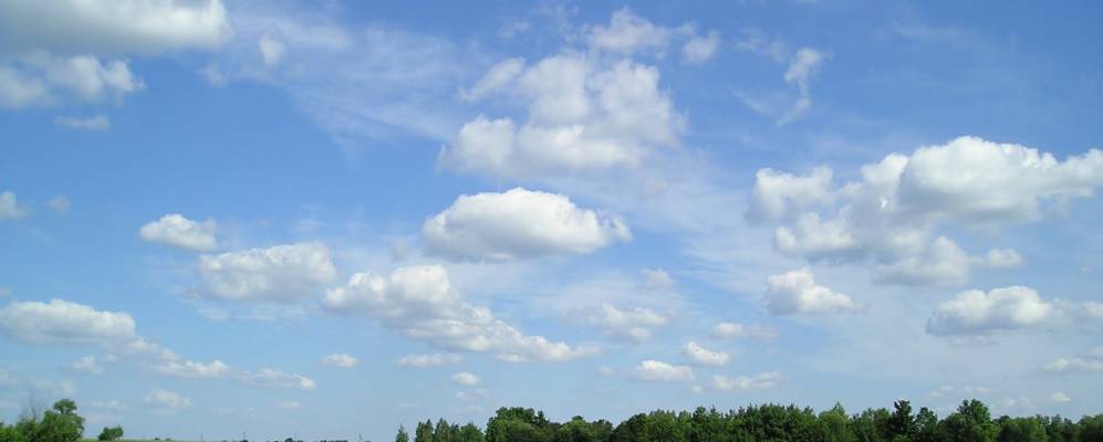 
            Фотография Сошицы