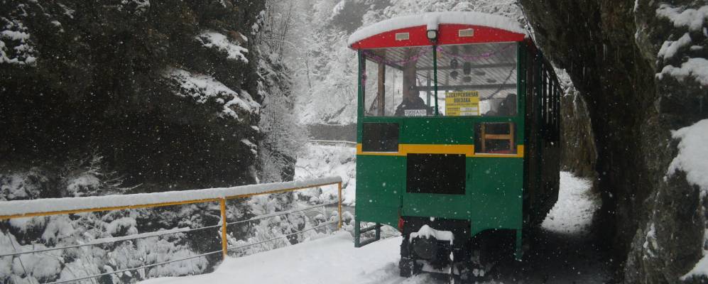 
            Фотография Гуамки