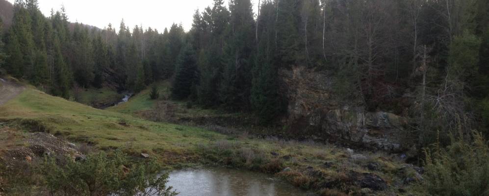 
            Фотография Побука