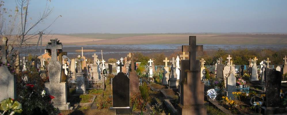 
            Фотография Рожиска