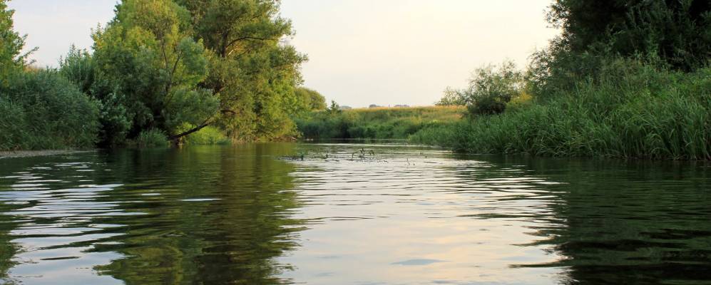Фотография Алябьево
