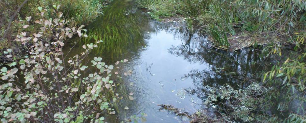 
            Фотография Горки