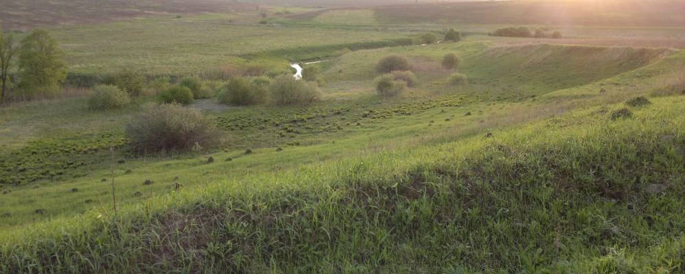 
            Фотография Глазово