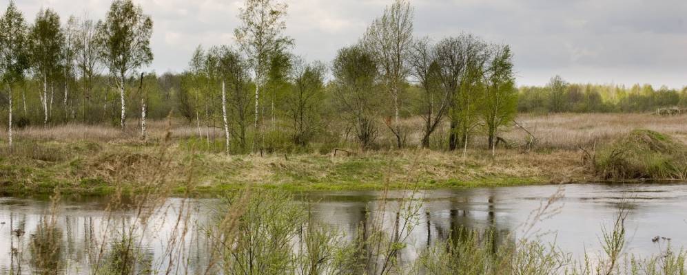 
            Фотография деревни Житницы