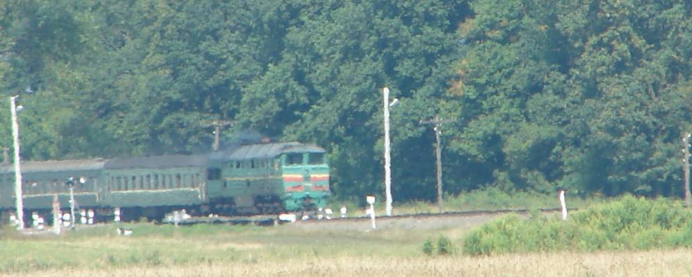 
            Фотография Перше Травни