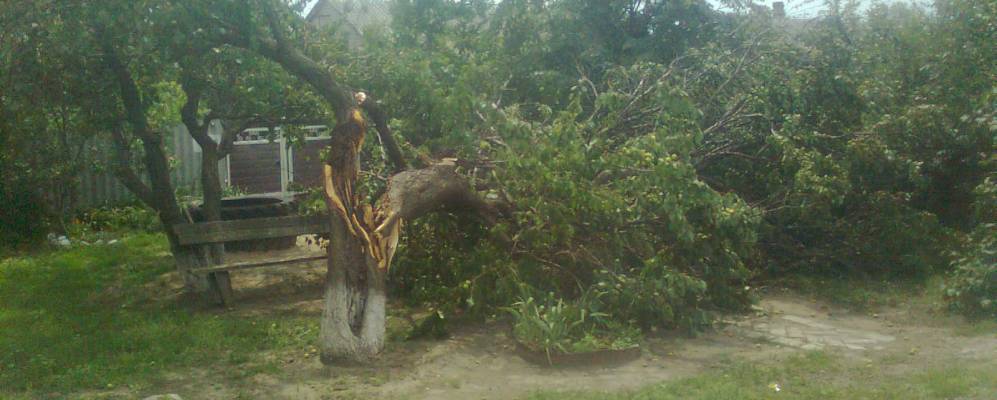 
            Фотография Вербского