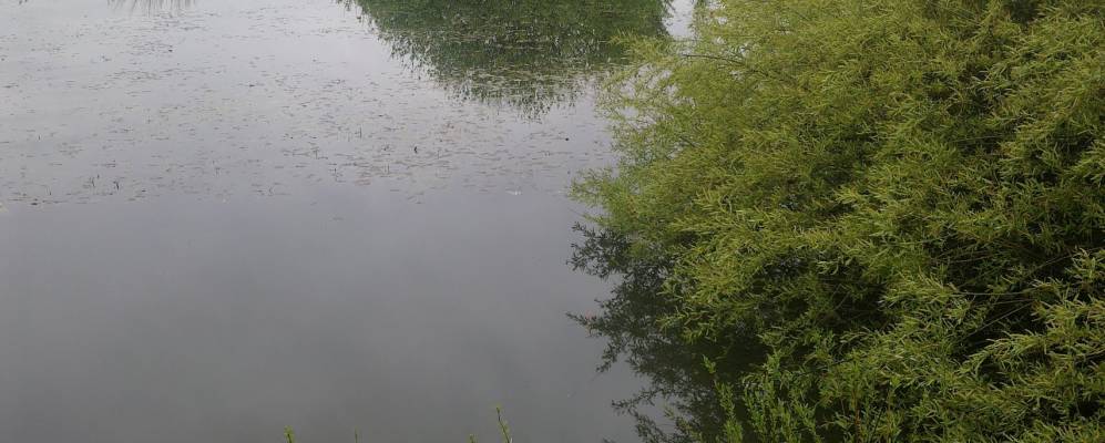 
            Фотография Дивное