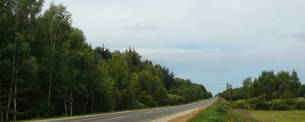 
            Фотография Лопухино