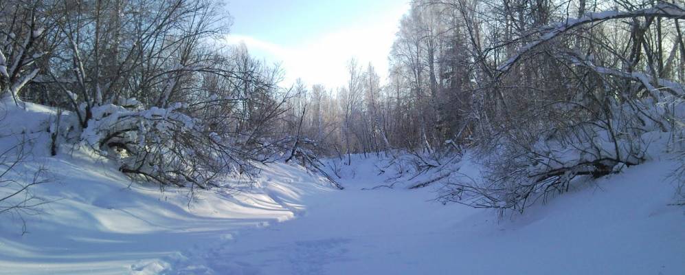 
            Фотография Шабров