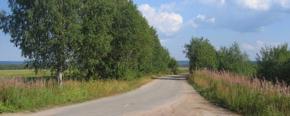 
            Фотография Котово