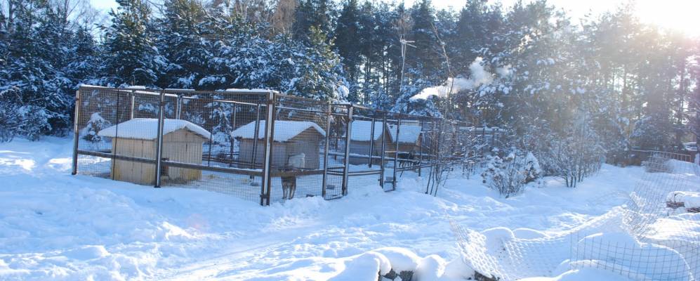 
            Фотография Лашино