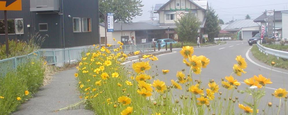 
            Фотография Хары