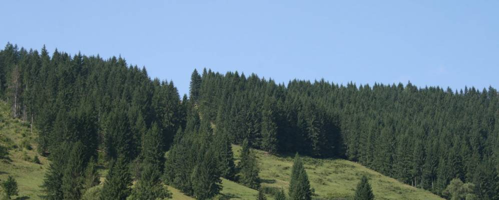 
            Фотография Устерик