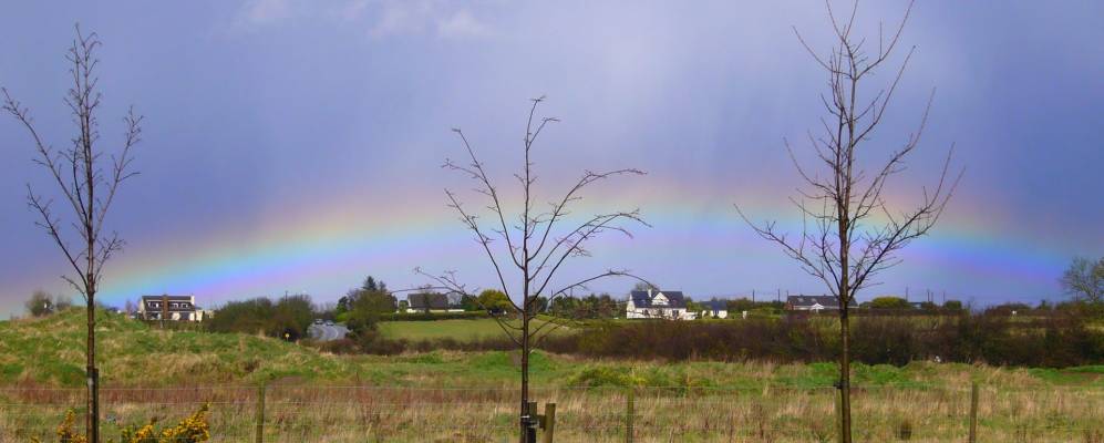 
            Фотография Ласка