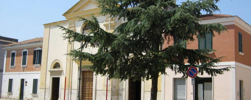 
            Фотография Сторнарелы