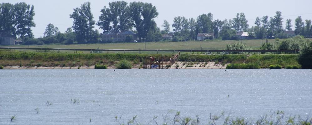 
            Фотография Серебряного