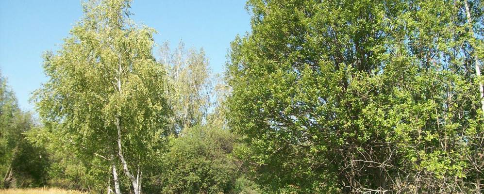 
            Фотография Подлесного