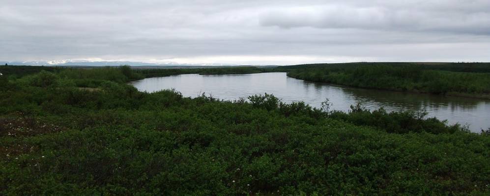 
            Фотография Липино