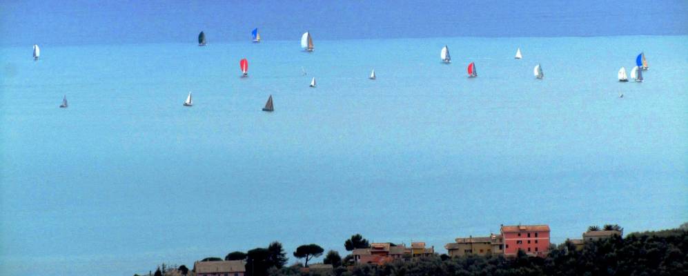 
            Фотография Когорно