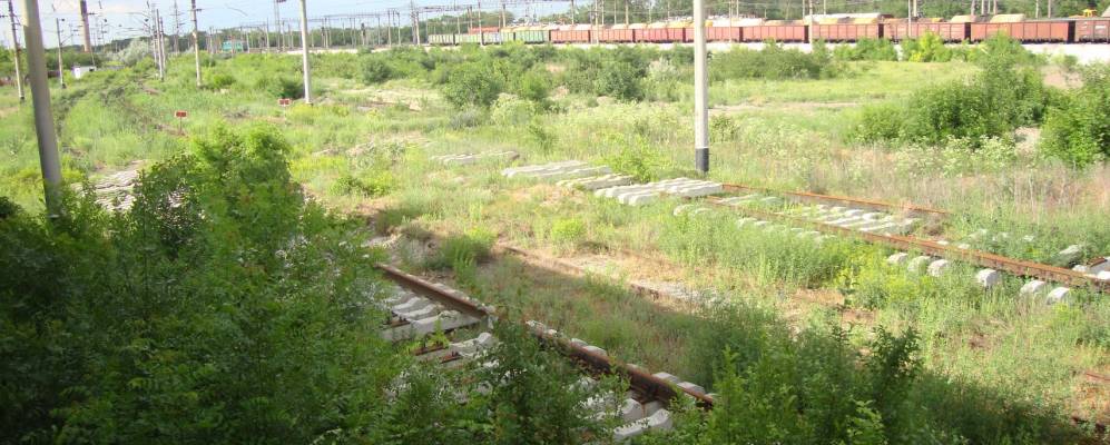 
            Фотография Старые Шомполы