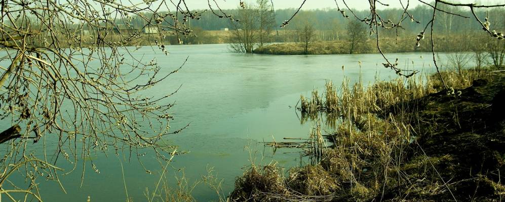 Фотография Меньшово